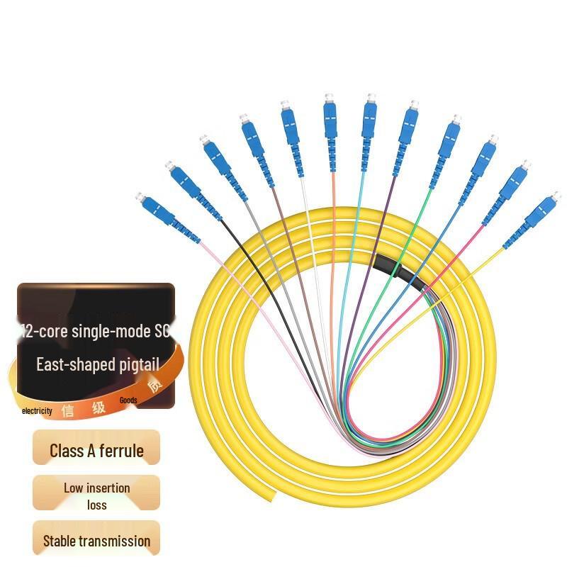 12-Core Multimode 10G Fiber Patch Cord, 1.5m, Telecommunications Grade ODF Unit 1.5m
12-Core Multimode 10G Fiber Patch Cord, 1.5m, Telecommunications Grade ODF Unit 1.5m