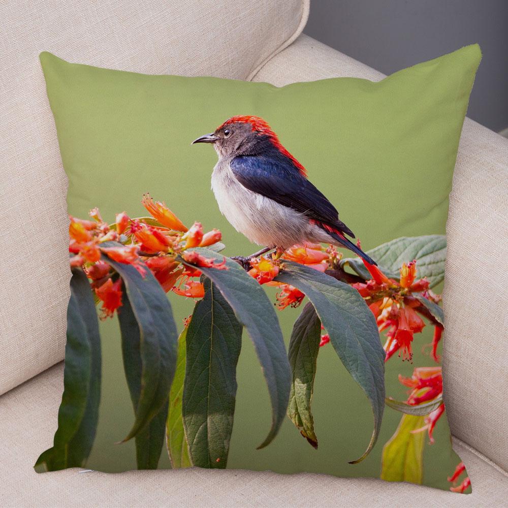 Диван Главная Автомобильная наволочка Красочный цветок птица украшение милый чехол для подушки с дикой природой 40x40cm
Диван Главная Автомобильная наволочка Красочный цветок птица украшение милый чехол для подушки с дикой природой 40x40cm