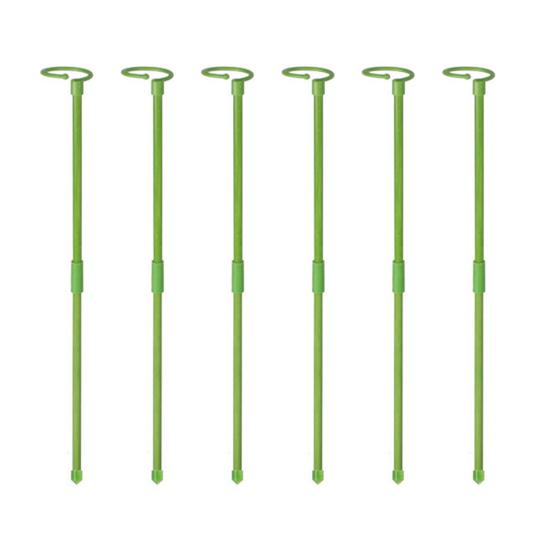 6 шт. Колышки для поддержки растений, выдвижные колышки для поддержки, палочки для орхидей с кольцевыми зажимами для комнатных и уличных растений, томатов, овощей, монстеры S
6 шт. Колышки для поддержки растений, выдвижные колышки для поддержки, палочки для орхидей с кольцевыми зажимами для комнатных и уличных растений, томатов, овощей, монстеры S