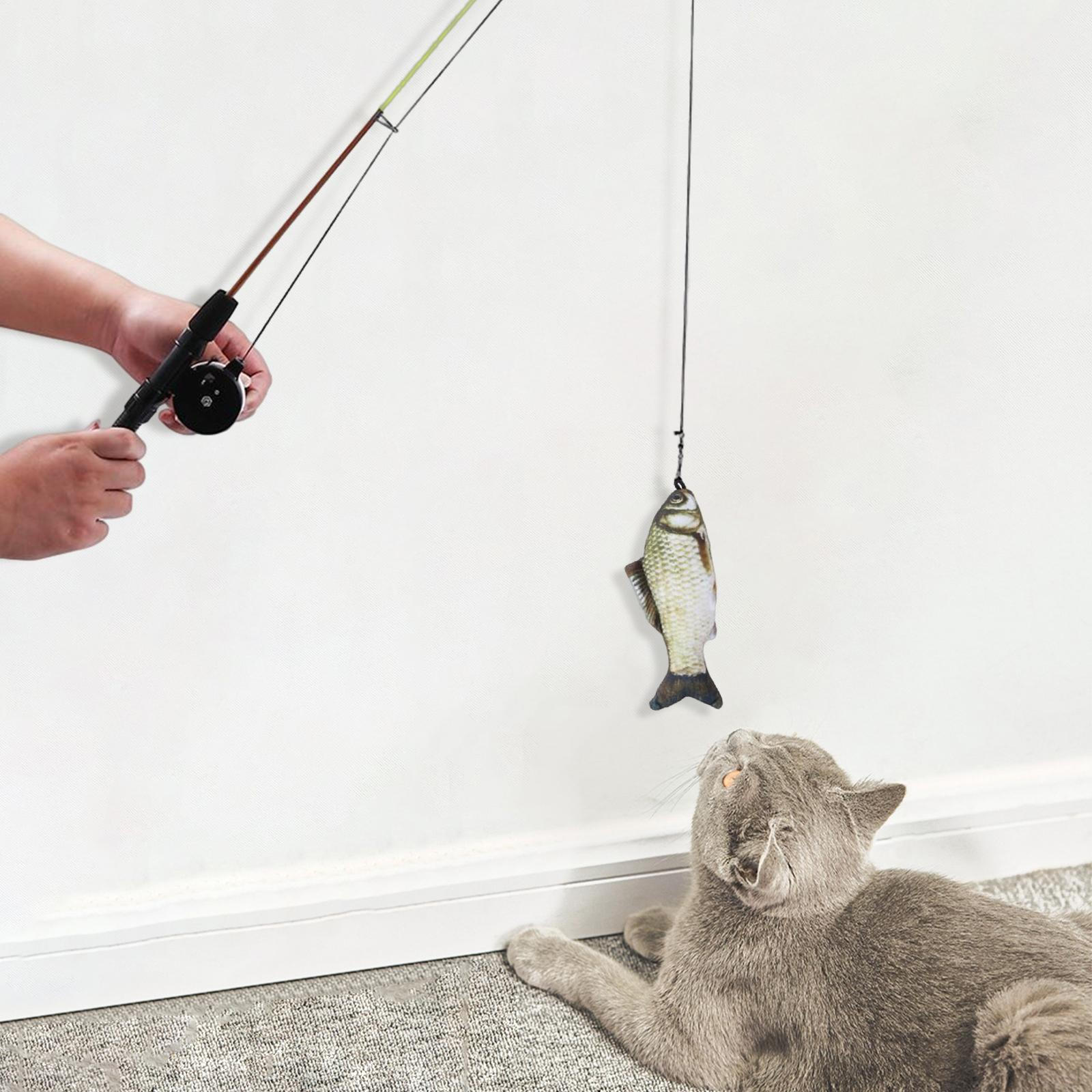 Cat Teaser Toy Adjustable Training Interactive Retractable Fishing Pole Grass Carp
Cat Teaser Toy Adjustable Training Interactive Retractable Fishing Pole Grass Carp
