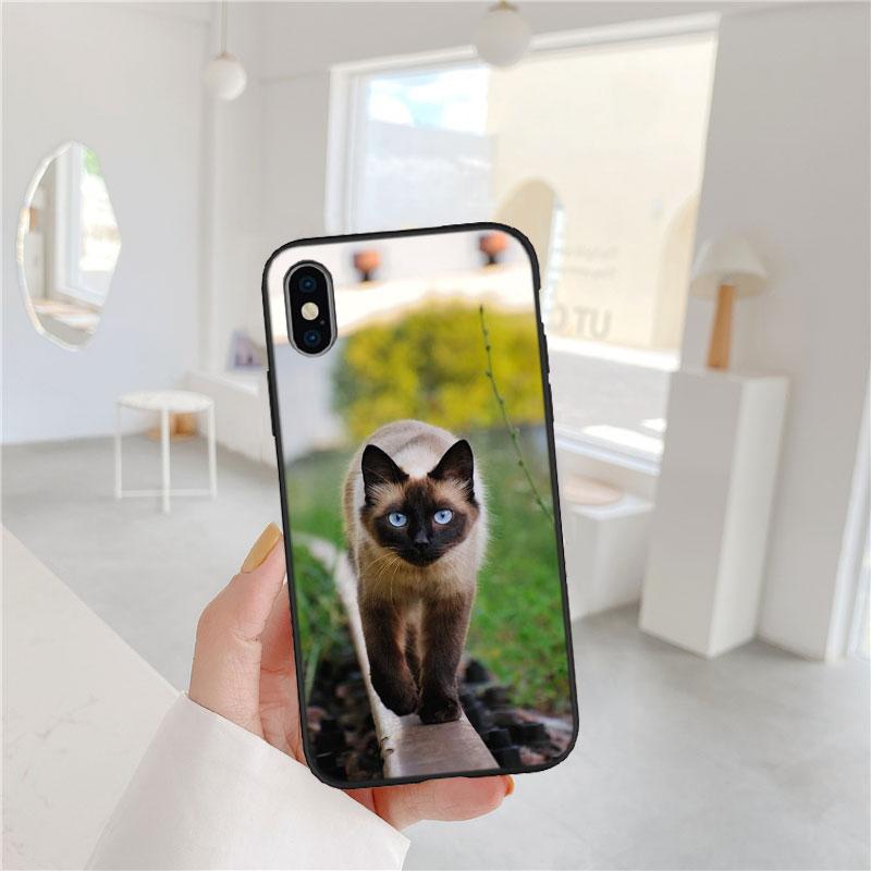 PP22 Cute Siamese Cat Soft Shell Phone Case for OPPO A40 A60 A80 A15 A16 A16K A12 A17 A17K A54 A54S A53 A53S A55 A56 A57 A98 F23 OPPO A16
PP22 Cute Siamese Cat Soft Shell Phone Case for OPPO A40 A60 A80 A15 A16 A16K A12 A17 A17K A54 A54S A53 A53S A55 A56 A57 A98 F23 OPPO A16