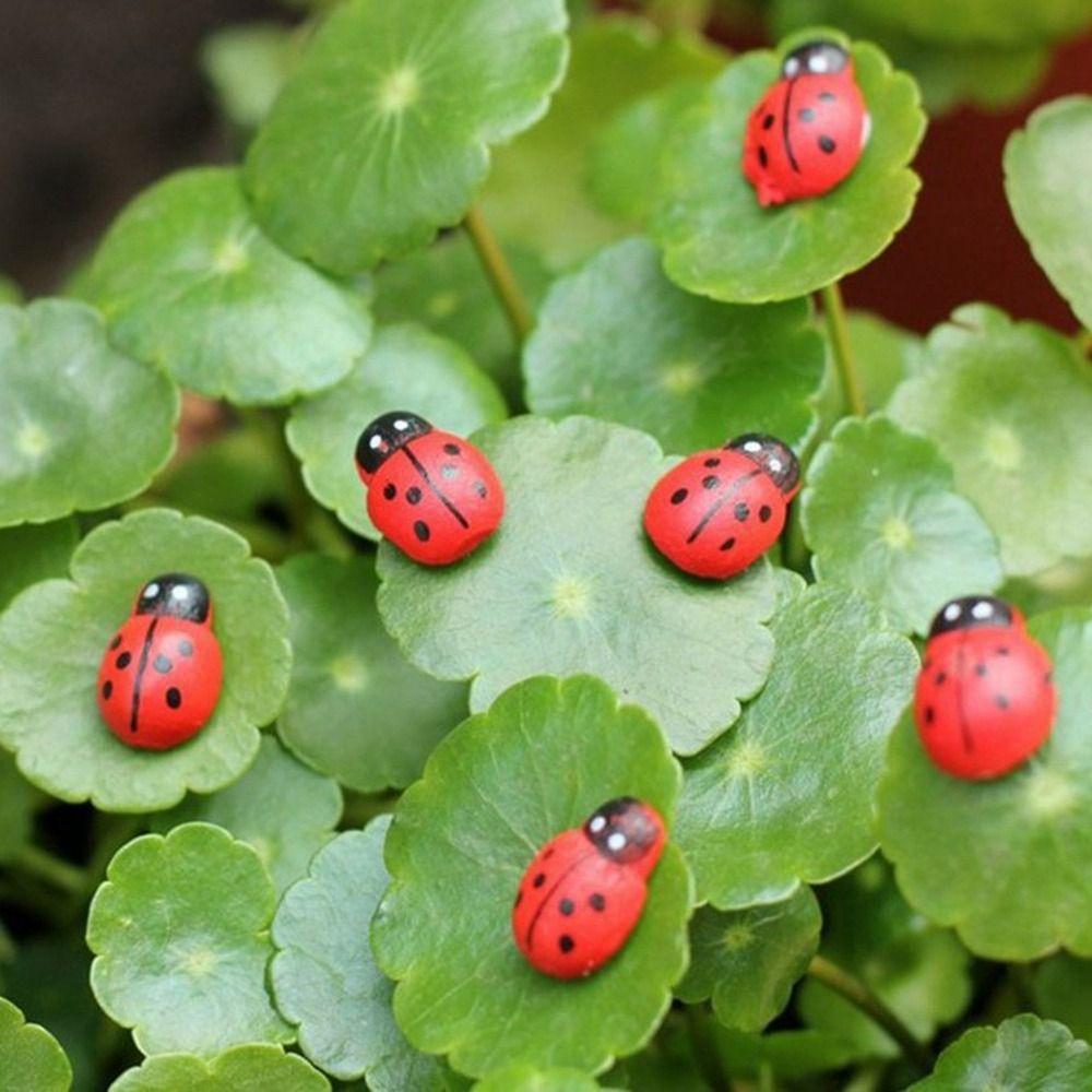 5pcs Handmade Ladybug Miniatures Mini Resin Ladybug Succulent Accessories Home Decor M
5pcs Handmade Ladybug Miniatures Mini Resin Ladybug Succulent Accessories Home Decor M