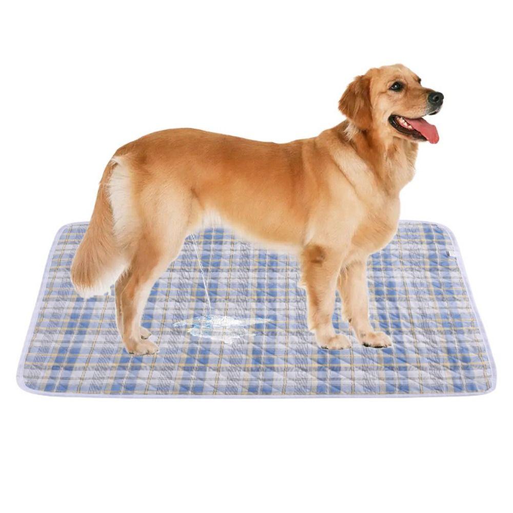 Waterproof Pet Pee Pads Mat Washable Dog Car Seat Cover Waterproof Dog Training Pee Pad Sofa
Waterproof Pet Pee Pads Mat Washable Dog Car Seat Cover Waterproof Dog Training Pee Pad Sofa