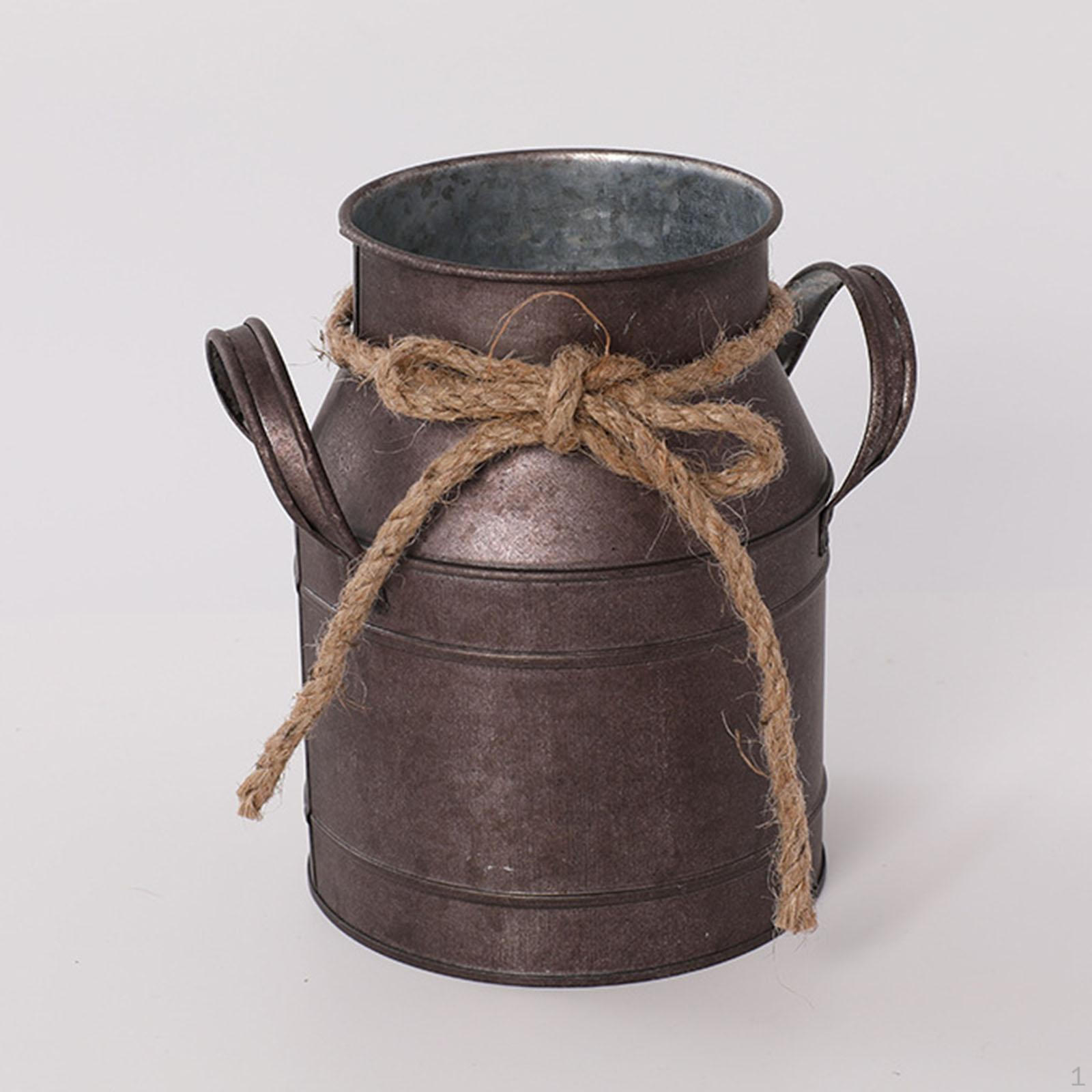 Металлическая ваза для цветов, ведро с боковыми ручками, держатель для цветочного горшка, деревенский кувшин для reddish brown
Металлическая ваза для цветов, ведро с боковыми ручками, держатель для цветочного горшка, деревенский кувшин для reddish brown