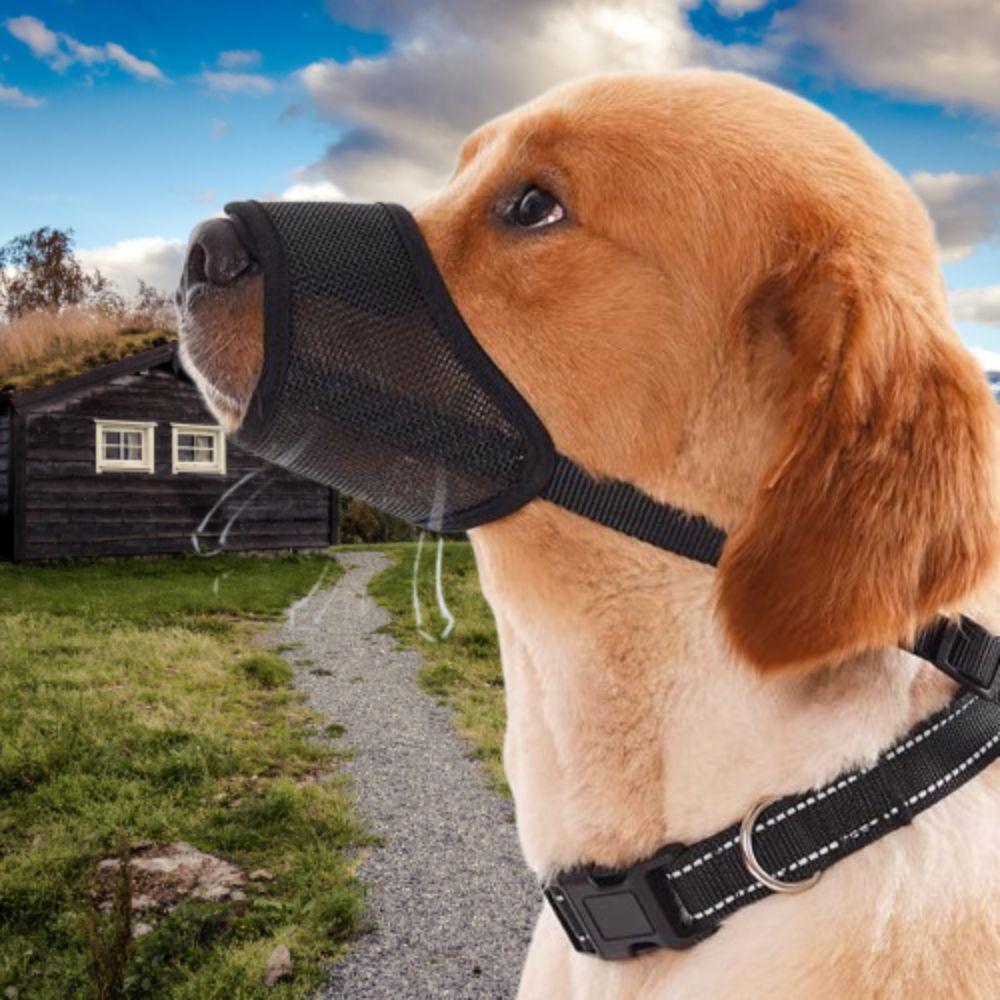 Anti Barking Dog Muzzle Adjustable Dog Mouth Cover Multi-purpose Pet Mouth Mask Pet Supplies M
Anti Barking Dog Muzzle Adjustable Dog Mouth Cover Multi-purpose Pet Mouth Mask Pet Supplies M