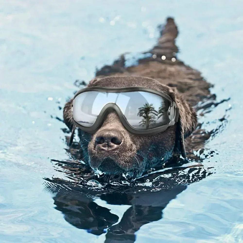 Anti-UV Sun Dog Goggles Adjustable Dog Windbreak Eyeglasses Cute Pet Sunglasses Outdoor рожевий
Anti-UV Sun Dog Goggles Adjustable Dog Windbreak Eyeglasses Cute Pet Sunglasses Outdoor рожевий