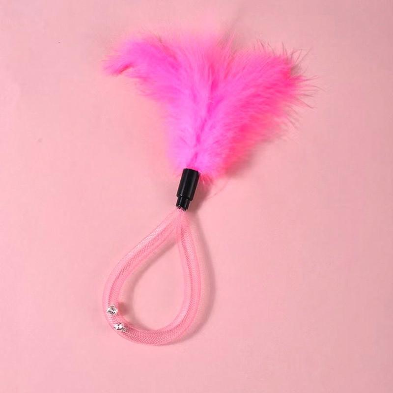 1 Piece Pet Feather Teaser Wand Toy; Pet Bell Cat Toy; Pet Self-Entertainment Toy To Relieve Boredom; Pet Supplies pink
1 Piece Pet Feather Teaser Wand Toy; Pet Bell Cat Toy; Pet Self-Entertainment Toy To Relieve Boredom; Pet Supplies pink