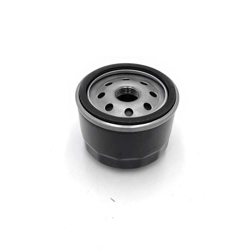 Oil Filter for Briggs & Stratton 492932 492932S 492056 5049 5076 695396 696854 795890 842921 Replacement Parts
Oil Filter for Briggs & Stratton 492932 492932S 492056 5049 5076 695396 696854 795890 842921 Replacement Parts