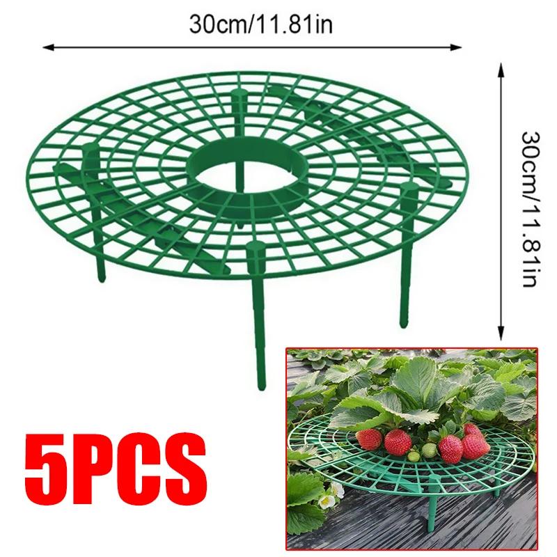Подставки для клубники Подставка для фруктов Стойка для выращивания овощей Садовые инструменты для защиты виноградных лоз Избегайте работы на земле
Подставки для клубники Подставка для фруктов Стойка для выращивания овощей Садовые инструменты для защиты виноградных лоз Избегайте работы на земле