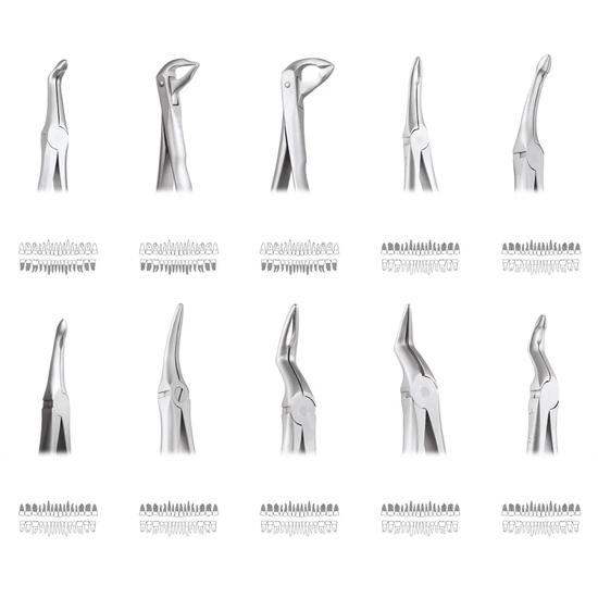 GDC Extraction Forceps Secure
GDC Extraction Forceps Secure