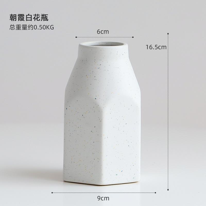 Modern Black and White Vase Decoration Living Room Ceramic Bottle Living Room Dried Flower Flower Arrangement Accessories
Modern Black and White Vase Decoration Living Room Ceramic Bottle Living Room Dried Flower Flower Arrangement Accessories