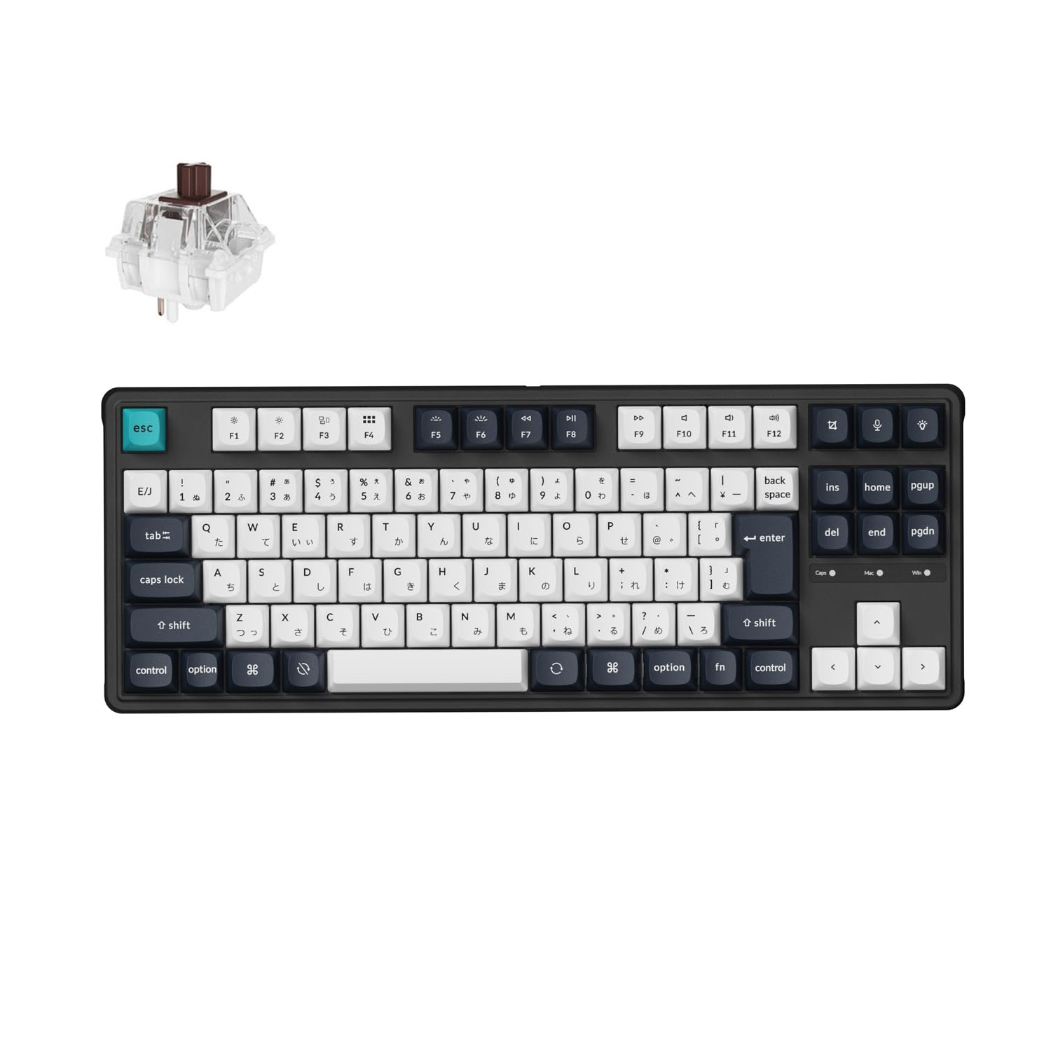 Keychron C3 Pro Custom Gaming Compact Tenkeyless JIS RGB Wired Mechanical Gasket PBT Compatible with and Linux Super Keyboard, Layout, Layout,
Keychron C3 Pro Custom Gaming Compact Tenkeyless JIS RGB Wired Mechanical Gasket PBT Compatible with and Linux Super Keyboard, Layout, Layout,