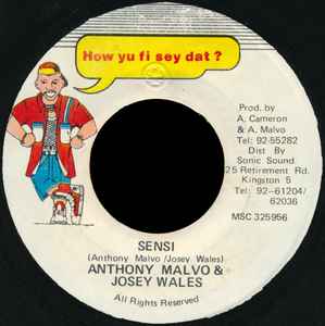 7inch Record ANTHONY MALVO & JOSEY WALES - Sensi NONE How Yu Fi Sey D Jamaica Reggae, Ska & Dub Used
7inch Record ANTHONY MALVO & JOSEY WALES - Sensi NONE How Yu Fi Sey D Jamaica Reggae, Ska & Dub Used