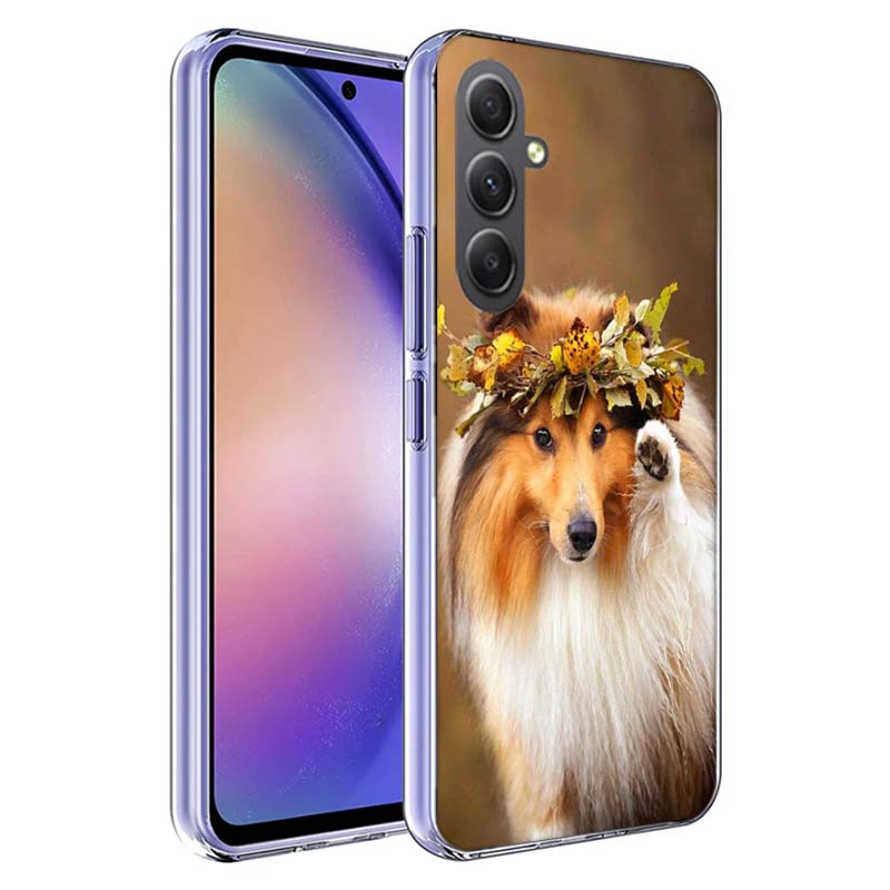 Shetland Sheepdog Dog Phone Case for Samsung A17 A37 A57 A07 A16 A26 A36 A56 A06 A02S A12 A22 A32 A52S A04S A14 A24 A34 A54 A03 Samsung A52S 5G
Shetland Sheepdog Dog Phone Case for Samsung A17 A37 A57 A07 A16 A26 A36 A56 A06 A02S A12 A22 A32 A52S A04S A14 A24 A34 A54 A03 Samsung A52S 5G
