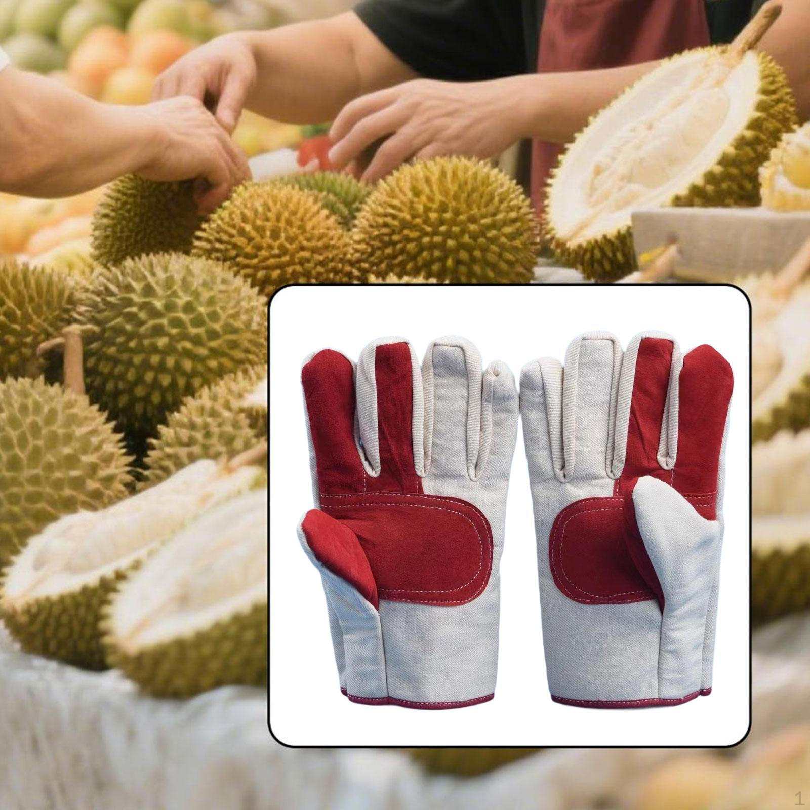 Садовые перчатки Рабочие Нескользящие Профессиональные Защита от ударов Гибкость для работы в помещении и на газоне
Садовые перчатки Рабочие Нескользящие Профессиональные Защита от ударов Гибкость для работы в помещении и на газоне