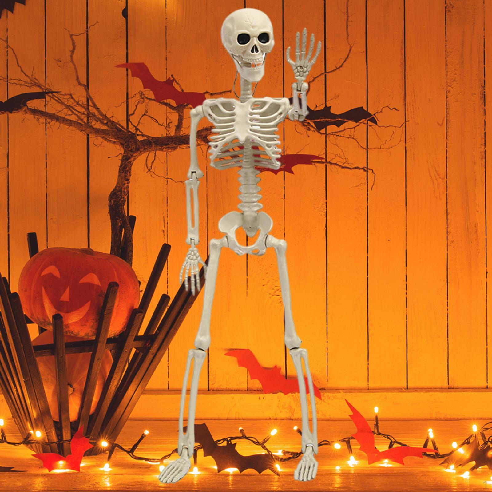 Halloween Skeleton Decoration Model for Holiday Outdoor Indoor Lawn 100cm
Halloween Skeleton Decoration Model for Holiday Outdoor Indoor Lawn 100cm