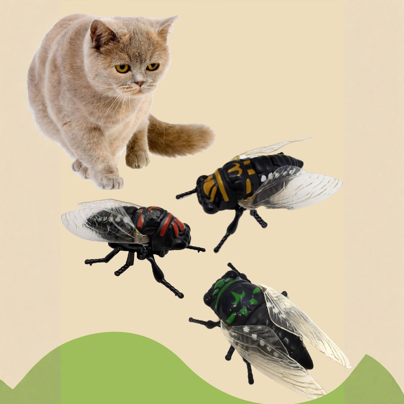 Іграшка-тарган Gawertoy з індукційним датчиком для дітей, Розумна іграшка-тарган, Реалістична модель гігантського таргана one size чорний
Іграшка-тарган Gawertoy з індукційним датчиком для дітей, Розумна іграшка-тарган, Реалістична модель гігантського таргана one size чорний