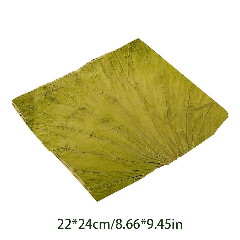 50/100pcs Natural Dried Lotus Leaves For Cooking Steamed Glutinous Rice Chicken Making Outdoor Food Tray Kitchen Accessories
50/100pcs Natural Dried Lotus Leaves For Cooking Steamed Glutinous Rice Chicken Making Outdoor Food Tray Kitchen Accessories