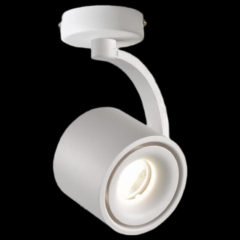 5W Single Head Emergency Recessed Spotlight
5W Single Head Emergency Recessed Spotlight