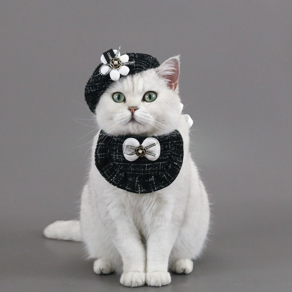 Pet Beret Cat Dog Hat Bib Set Dress Up Saliva Towel Party Supplies Pet Scarf Hat Cat розовый
Pet Beret Cat Dog Hat Bib Set Dress Up Saliva Towel Party Supplies Pet Scarf Hat Cat розовый