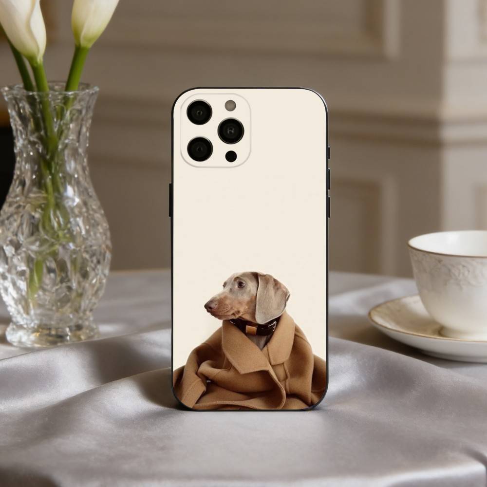 F-Funny Fashion D-Dog Art Phone Case For iPhone 17pro,16,15,14,13,12,11 Plus,Pro Max,XS,Soft Silicone Black Cover iPhone17PRO
F-Funny Fashion D-Dog Art Phone Case For iPhone 17pro,16,15,14,13,12,11 Plus,Pro Max,XS,Soft Silicone Black Cover iPhone17PRO