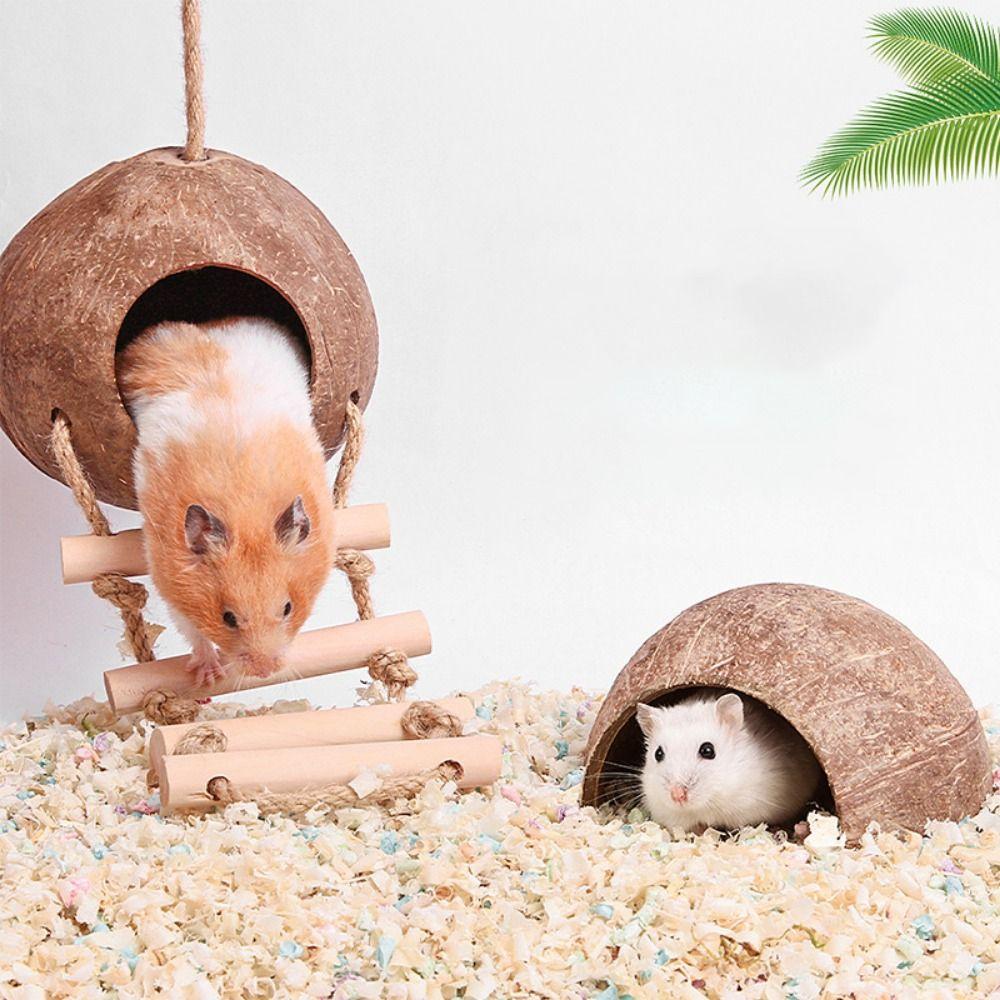 Creative Bite-resistant With ladder Parrot Parakeet Toy Lizard House Parrot Nest Bird Accessories
Creative Bite-resistant With ladder Parrot Parakeet Toy Lizard House Parrot Nest Bird Accessories