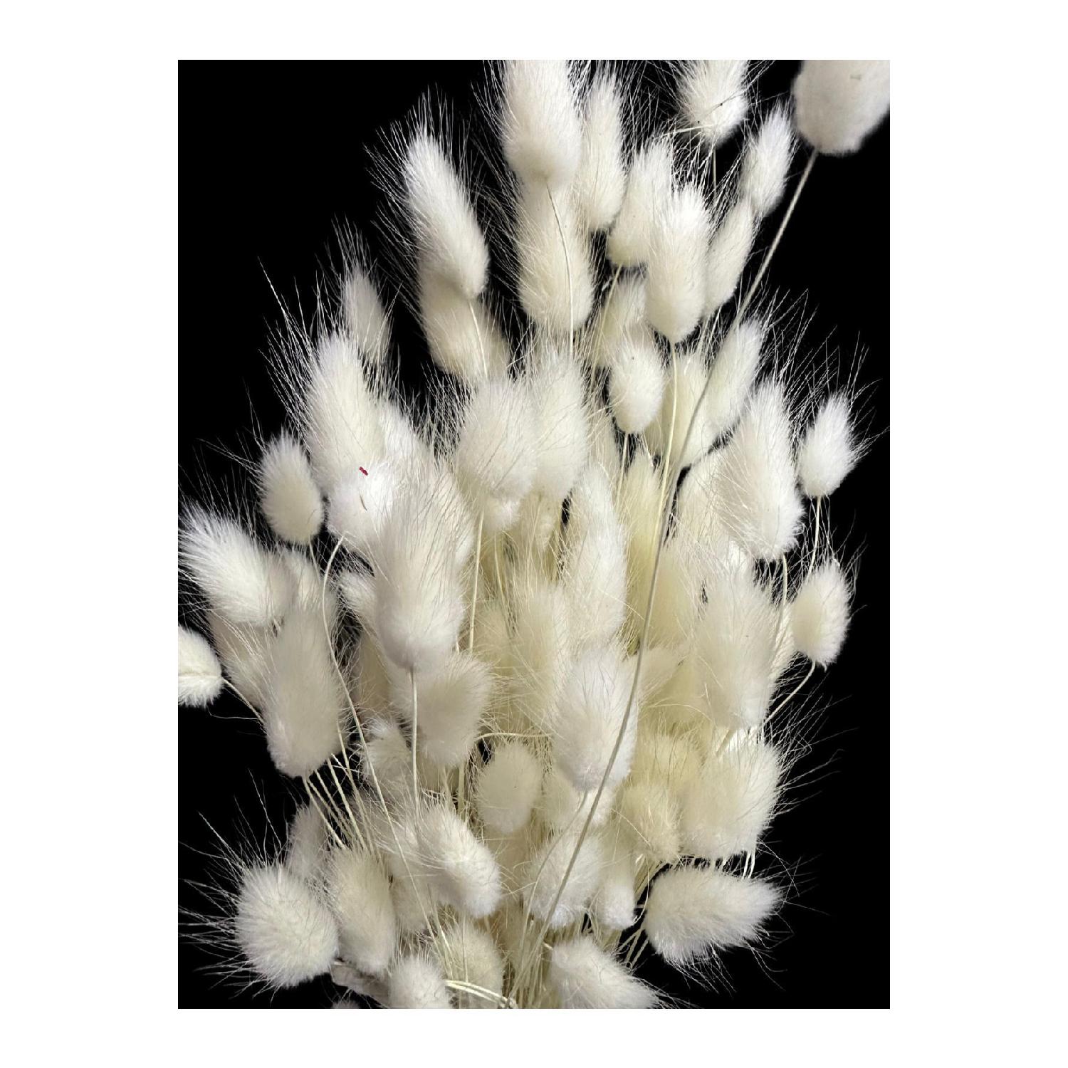 Natural Dried Cotton Grass, Rabbit Tail Bridal Bouquet Arrangement Flower Lagurus 30 Branches кремовый
Natural Dried Cotton Grass, Rabbit Tail Bridal Bouquet Arrangement Flower Lagurus 30 Branches кремовый