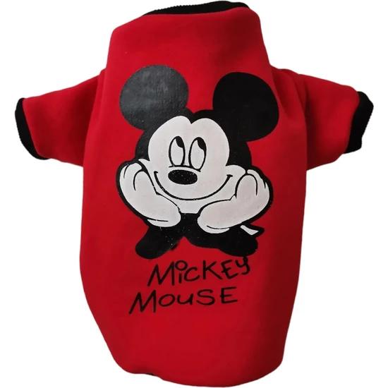 Pet Kedi Köpek Kıyafetleri Sweatshirt
Pet Kedi Köpek Kıyafetleri Sweatshirt