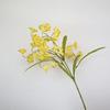 3-Branch High Grade Artificial Bell Orchid Real Touch Faux Floral for Home Luxury Decor Vase Arrangement Photo Props жовтий
3-Branch High Grade Artificial Bell Orchid Real Touch Faux Floral for Home Luxury Decor Vase Arrangement Photo Props жовтий