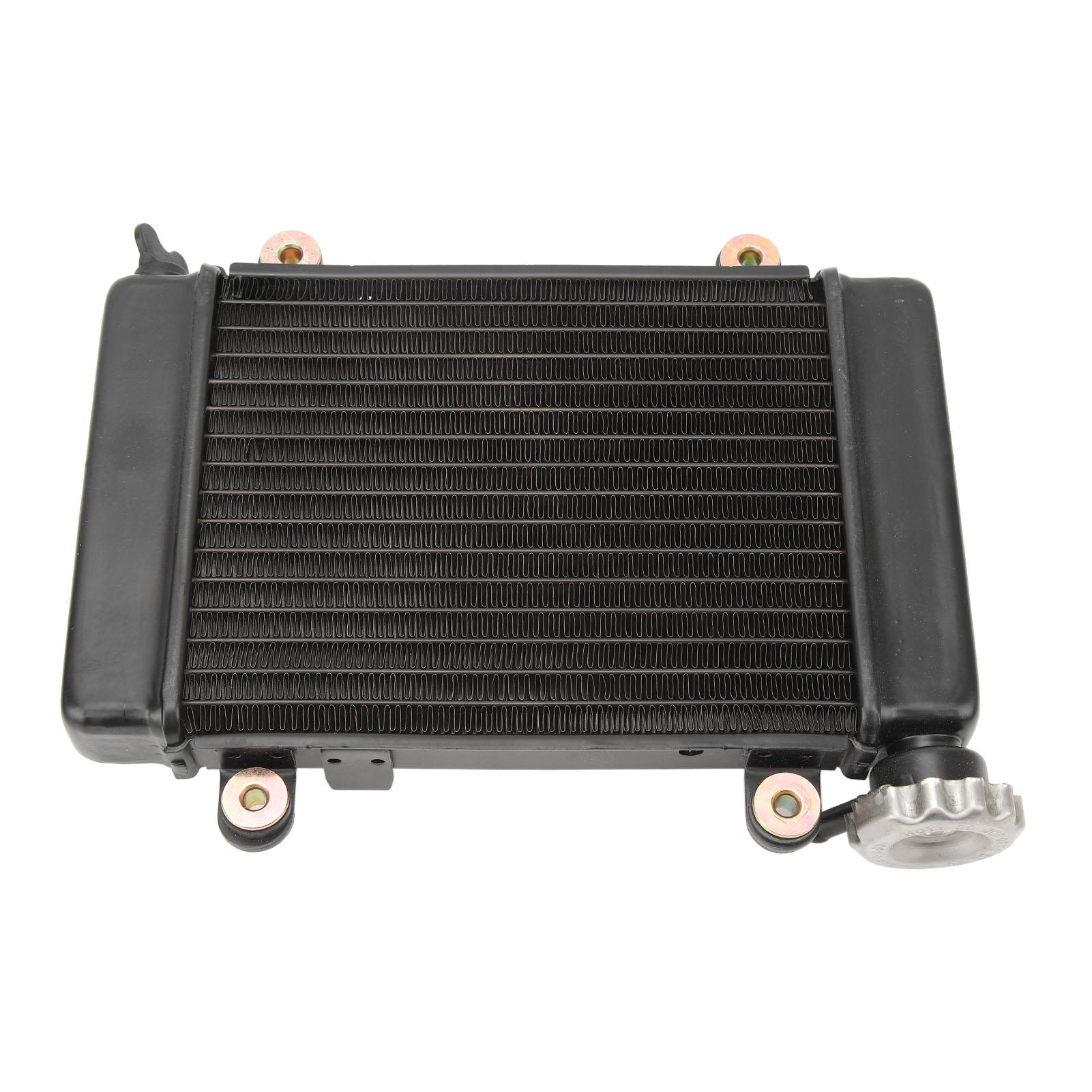 Water Cooling Radiator Aluminium Alloy Replacement for Four Wheel Off Road Vehicle Off Road ATV Tricycle ATV Kart
Water Cooling Radiator Aluminium Alloy Replacement for Four Wheel Off Road Vehicle Off Road ATV Tricycle ATV Kart
