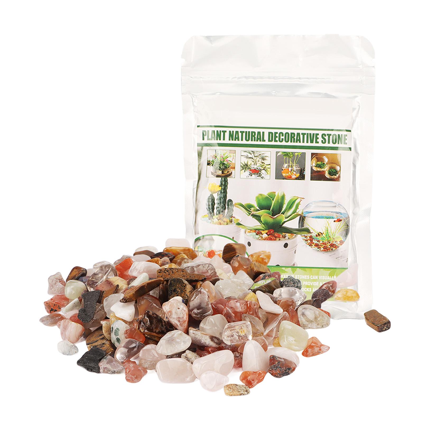 100g Plant Natural Decorative Stone Pebbles Decorative Polished Rocks for Fish Tanks Potted Plants
100g Plant Natural Decorative Stone Pebbles Decorative Polished Rocks for Fish Tanks Potted Plants
