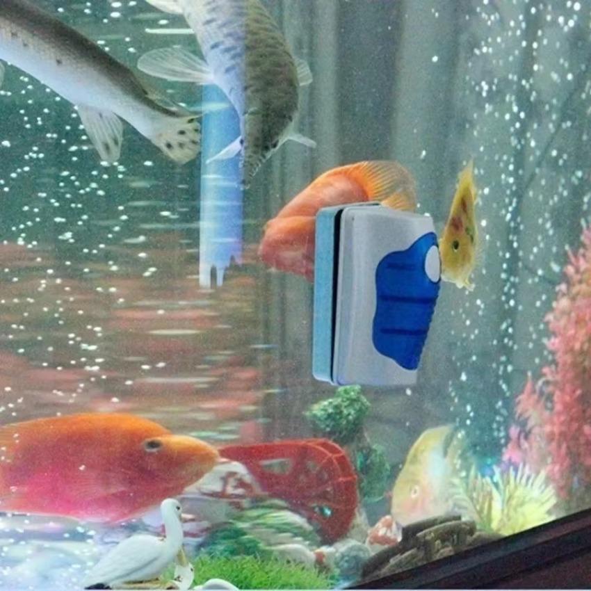 Glass Scraper Cleaner Floating Aquarium Cleaner Super Magnetic Clean Brush Aquarium Cleaning Tools Aquarium Tank Fish Ta
Glass Scraper Cleaner Floating Aquarium Cleaner Super Magnetic Clean Brush Aquarium Cleaning Tools Aquarium Tank Fish Ta