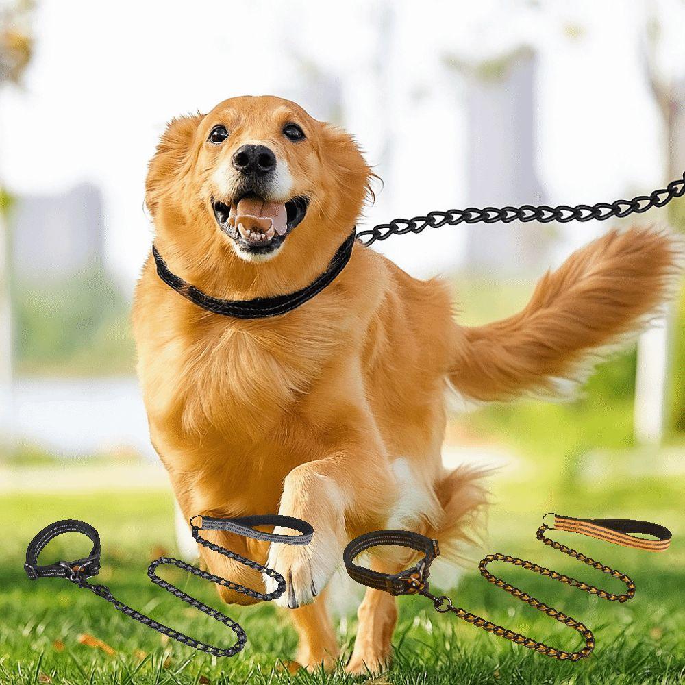 Reflective Pet Harness Breathable Cat Traction Rope Practical Pet Lead Leash Walking 2.0CM
Reflective Pet Harness Breathable Cat Traction Rope Practical Pet Lead Leash Walking 2.0CM