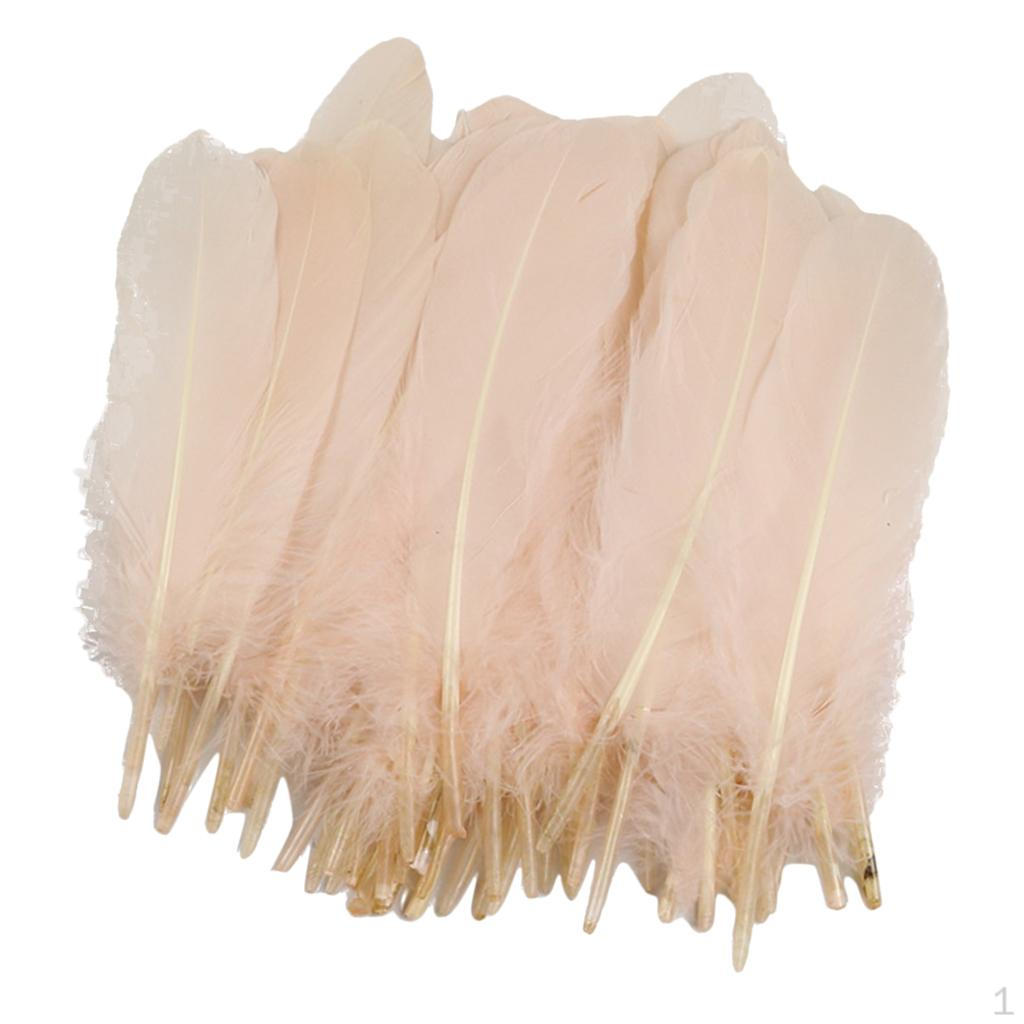 50 Natural Feather for Stage Light Pink
50 Natural Feather for Stage Light Pink