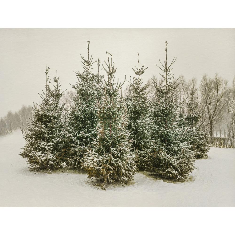 Minimal Landscape Vintage Winter Posters Tree Sketch Farmhouse Modern Prints Canvas Painting Wall Picture Home Living Room Decor 21X30CMNo Framed
Minimal Landscape Vintage Winter Posters Tree Sketch Farmhouse Modern Prints Canvas Painting Wall Picture Home Living Room Decor 21X30CMNo Framed