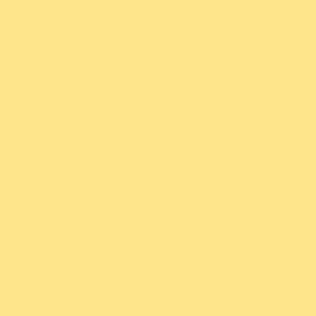 Toyo Origami Origami Single Color 35cm Square Beige 50 Sheets 076109 Single-sided бежевый
Toyo Origami Origami Single Color 35cm Square Beige 50 Sheets 076109 Single-sided бежевый