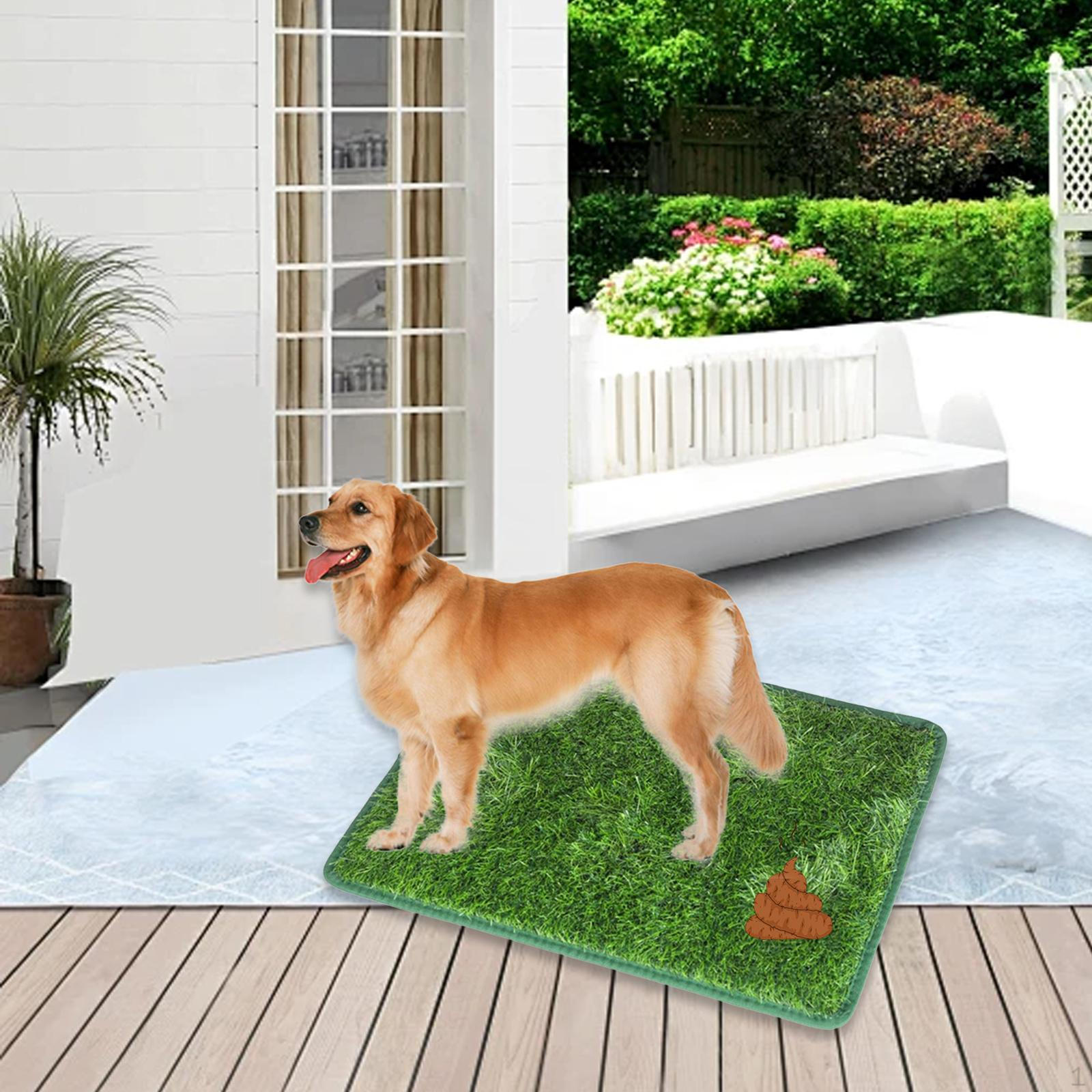 Artificial Grass Dog Mat for Pet Training, Easy Clean Doormat, Professional Resting Area, Strong M
Artificial Grass Dog Mat for Pet Training, Easy Clean Doormat, Professional Resting Area, Strong M