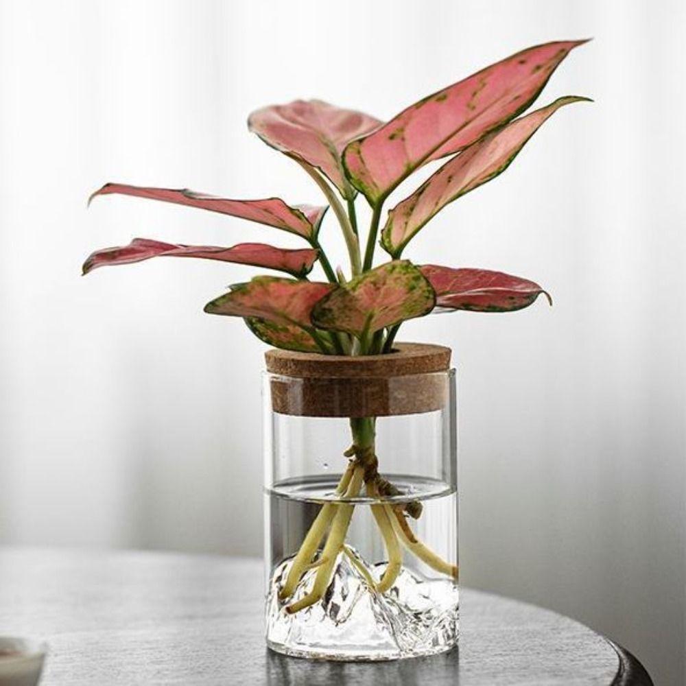 Thickened Flower Vase Transparent Mountain Viewing Bottle Hydroponic Flower Holder Desktop S прозорий
Thickened Flower Vase Transparent Mountain Viewing Bottle Hydroponic Flower Holder Desktop S прозорий