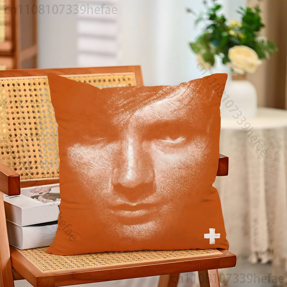 Albums Ed SSheeran Throw Pillow Case For Decoration 30cm 50cm 55cm Square Home Pillowcase Case 30x30cm
Albums Ed SSheeran Throw Pillow Case For Decoration 30cm 50cm 55cm Square Home Pillowcase Case 30x30cm