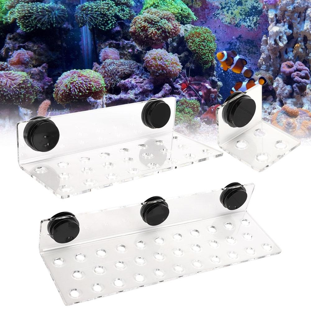 Acrylic Coral Rack Coral Rack Coral Bracket Aquarium Fish Coral Rack Bracket Acrylic Strong Suction Coral Frag Rack Bracket 4 holes
Acrylic Coral Rack Coral Rack Coral Bracket Aquarium Fish Coral Rack Bracket Acrylic Strong Suction Coral Frag Rack Bracket 4 holes