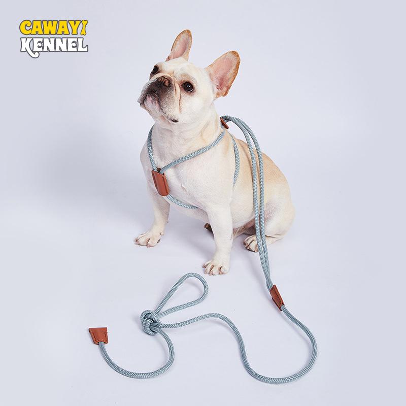 CAWAYI KENNEL Нейлоновые поводки для ошейника для собак Универсальные ремни Взрывозащищенный нагрудный ремень Регулируемые товары для домашних животных Прогулка с собакой
CAWAYI KENNEL Нейлоновые поводки для ошейника для собак Универсальные ремни Взрывозащищенный нагрудный ремень Регулируемые товары для домашних животных Прогулка с собакой