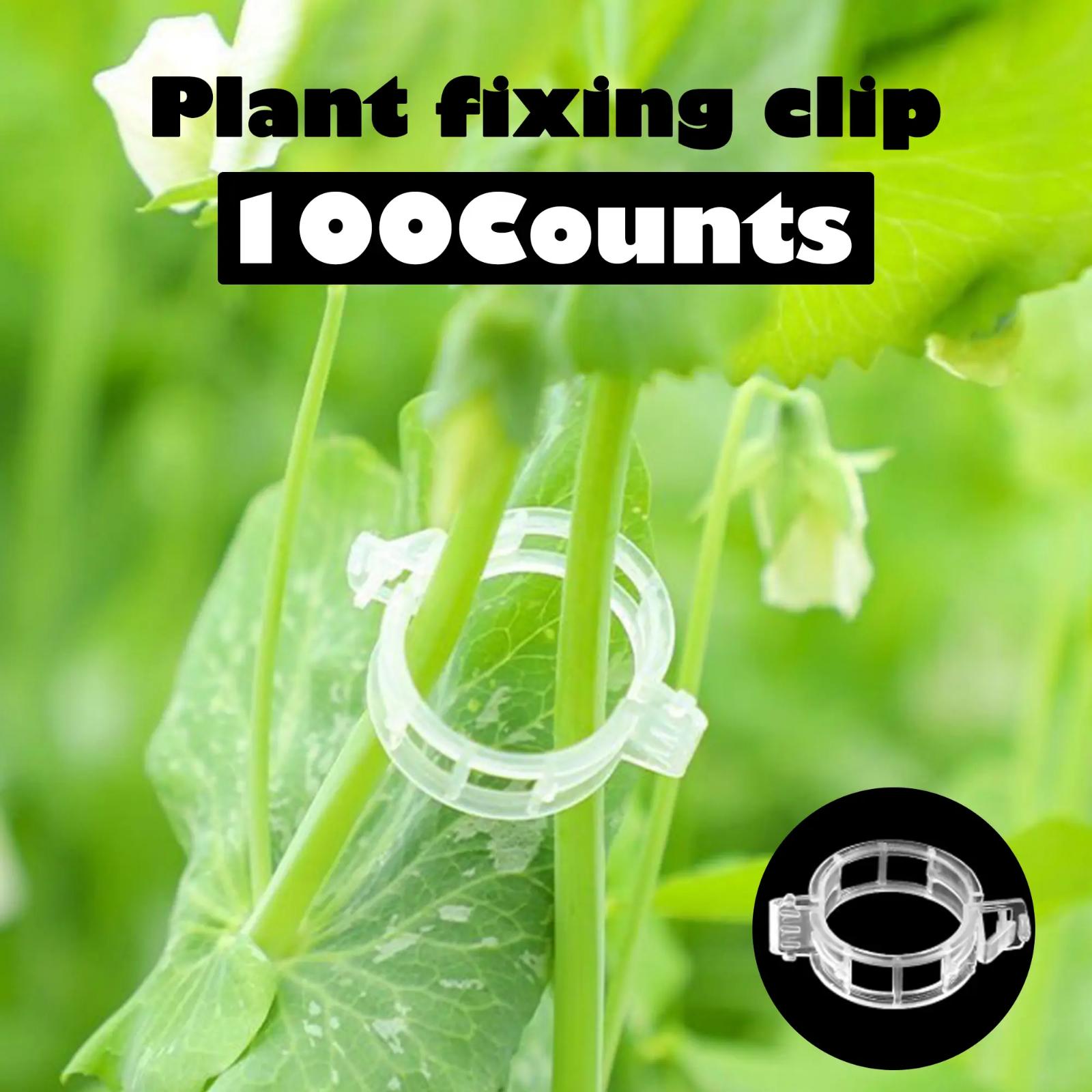 100pcs Adjustable Plant Clips - Reusable Garden Support For Flowers, Vines, Vegetables & Tomatoes - Plastic, Gardening Tools One Size
100pcs Adjustable Plant Clips - Reusable Garden Support For Flowers, Vines, Vegetables & Tomatoes - Plastic, Gardening Tools One Size
