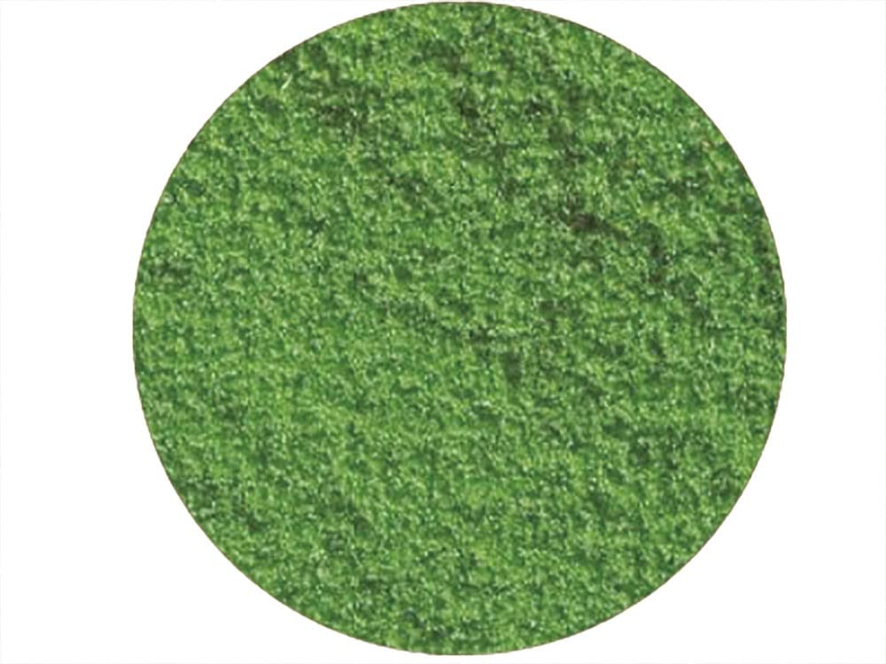 Platts Многоцелевой диорамный материал серии Green Fine Sponge Hobby Material Turf/Fresh (Экстра Зерно) МДП-21
Platts Многоцелевой диорамный материал серии Green Fine Sponge Hobby Material Turf/Fresh (Экстра Зерно) МДП-21