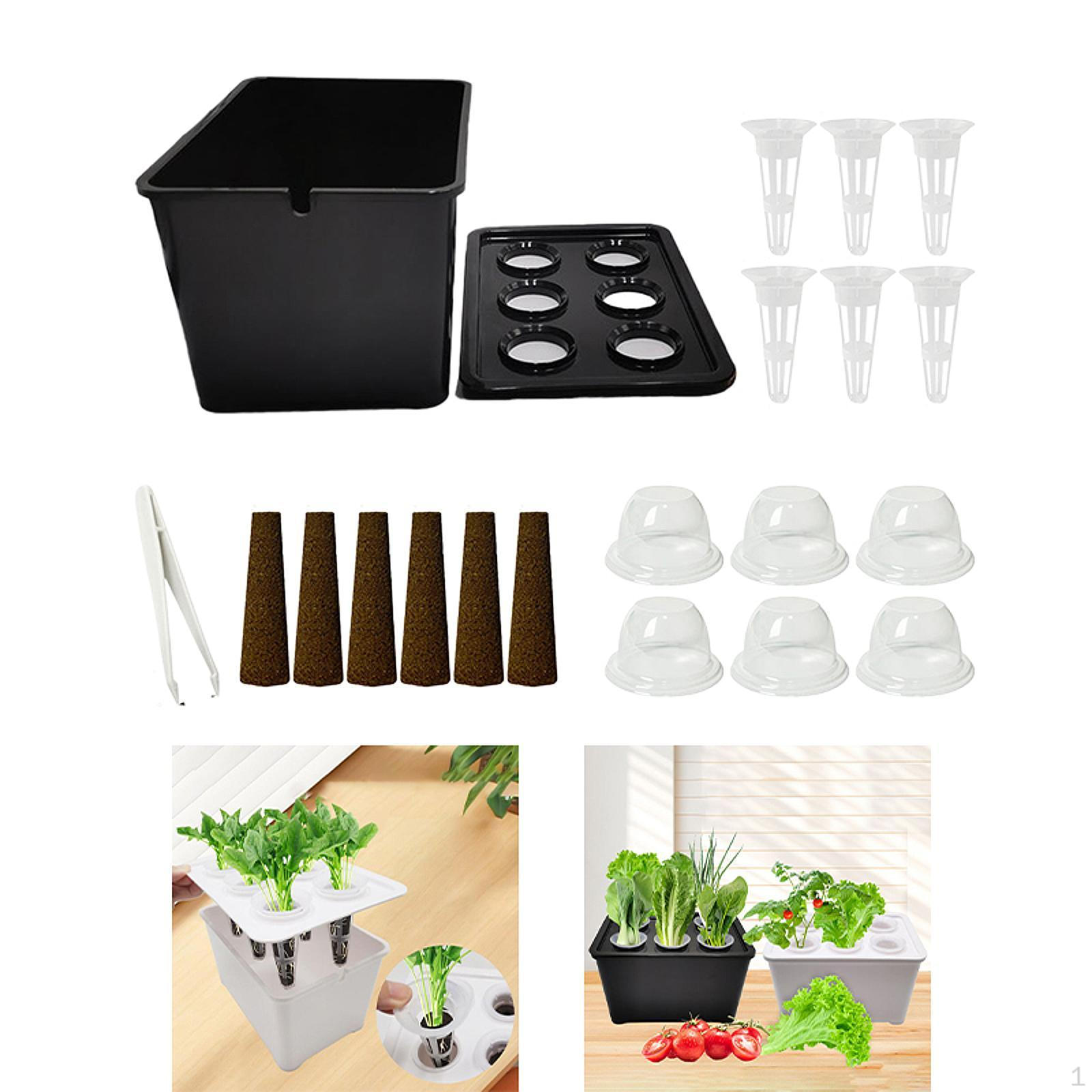 Box Growing Container Made of PP for Office Kitchen Balcony Garden Classroom чорний
Box Growing Container Made of PP for Office Kitchen Balcony Garden Classroom чорний