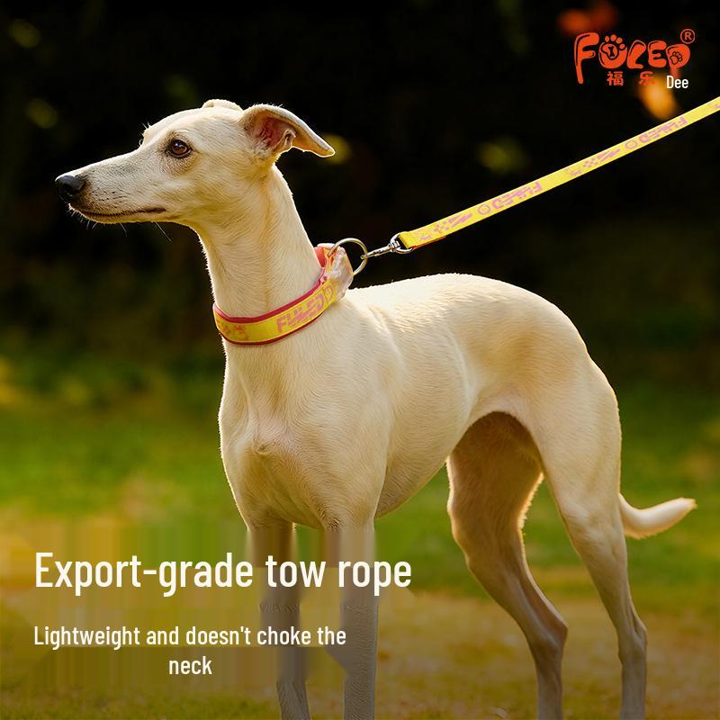 Dog Collar and Leash: Non-strangling Neckband for Large Pets Leash Webbing Yellow
Dog Collar and Leash: Non-strangling Neckband for Large Pets Leash Webbing Yellow