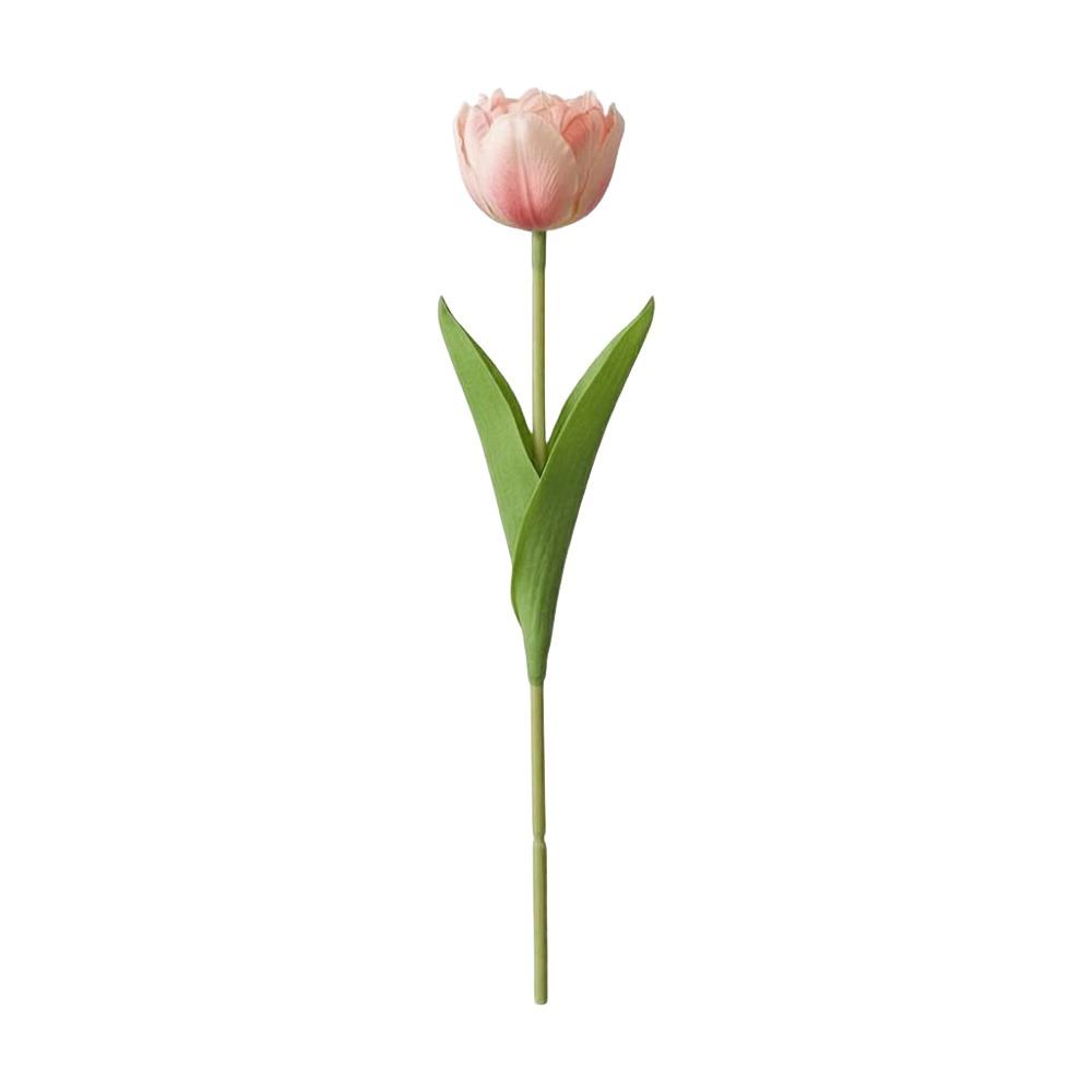 Silk Artificial Tulip Bouquet Floral Arrangement Realistic Simulation Flowers DIY Flower Wedding Bouquet Photography Props світло-рожевий колір
Silk Artificial Tulip Bouquet Floral Arrangement Realistic Simulation Flowers DIY Flower Wedding Bouquet Photography Props світло-рожевий колір