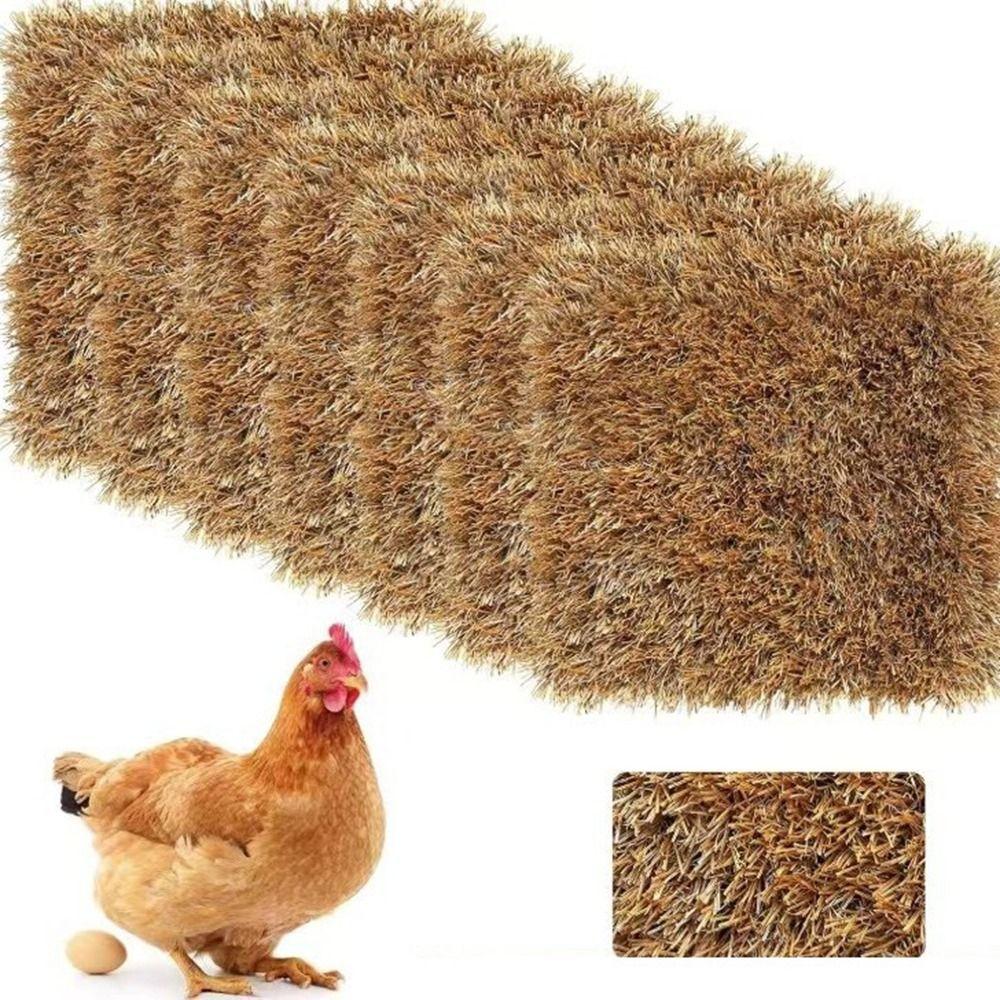 2Pcs Artificial Chick Nest Mat Shock-Absorbing Chickens Egg-Laying Pad Laying Eggs Style B
2Pcs Artificial Chick Nest Mat Shock-Absorbing Chickens Egg-Laying Pad Laying Eggs Style B