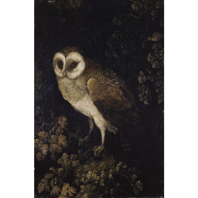 Винтажный Кот Летучая мышь Ворон Сова Еж Темная Академия Постер Печать на Холсте Декор Гостиная Спальня Настенное Искусство Домашний Декор Подарок 21cm×30cm NoFrame