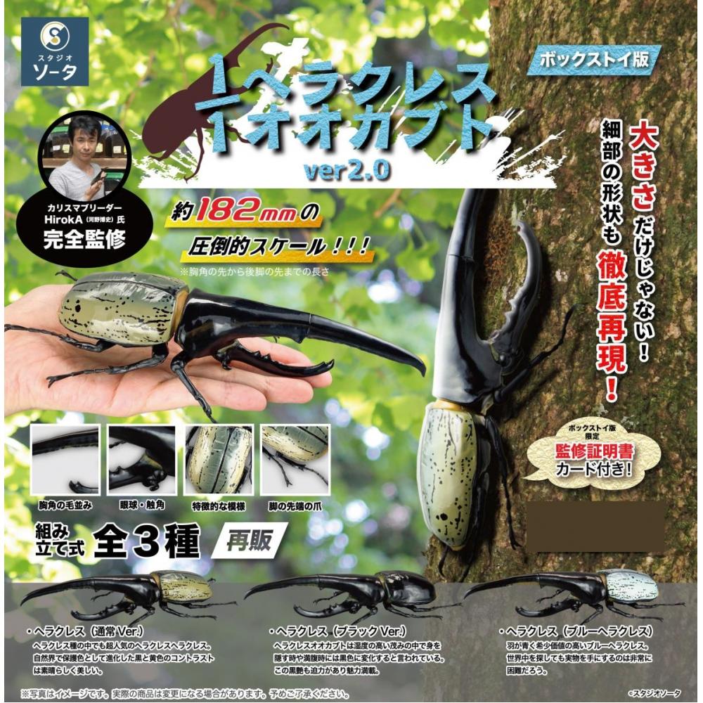 Null 1 1 Dynastes Hercules Ver 2.0 1box 4pcs Reissue 
Null 1 1 Dynastes Hercules Ver 2.0 1box 4pcs Reissue