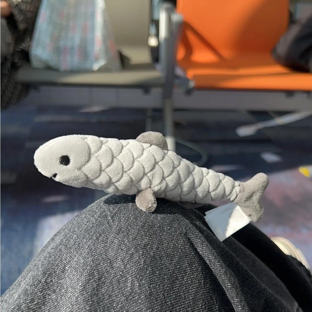 16cm Plush Toys Funny Sardine Dolls Plush Fish Toys Sofa Plush Decorative Doll Home Decoration
16cm Plush Toys Funny Sardine Dolls Plush Fish Toys Sofa Plush Decorative Doll Home Decoration